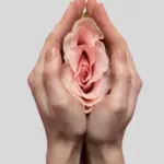 Labiaplasty